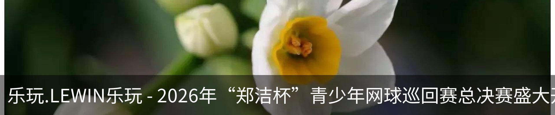 资讯中心