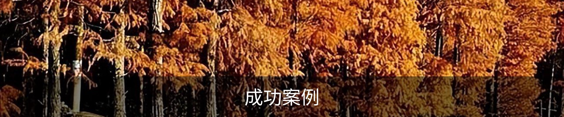 成功案例