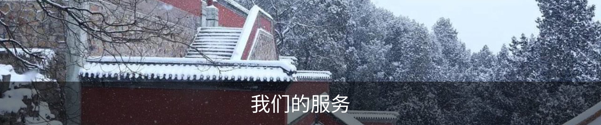 我们的服务